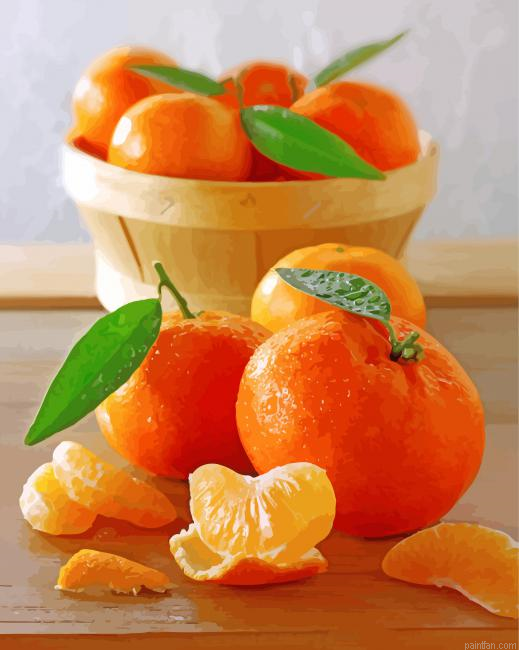Sweet Mandarine Fruit Paint By Number.png