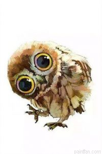 Sweet Owl Paint By Numbers.png