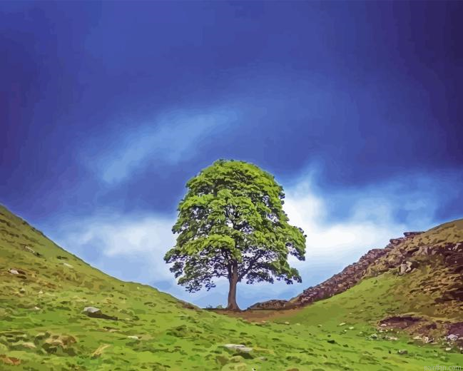 Sycamore Gap Paint By Numbers.png