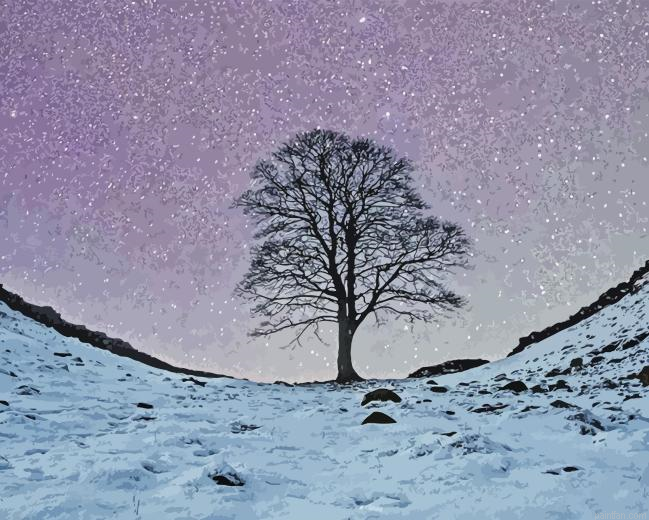 Sycamore Gap Tree Paint By Numbers.png