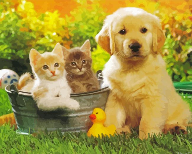 Tabby Cats And Golden Spaniel Puppy Paint By Numbers.png