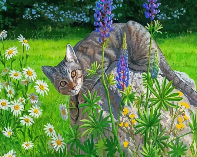 Tabby Grey Cat Paint By Numbers.png