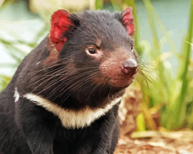 Tasmanian Devil Paint By Numbers.png