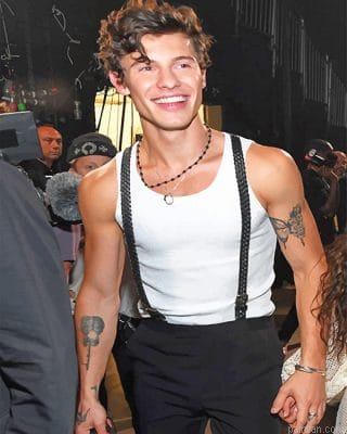 Tattoed Shawn Mendes New Paint By Numbers.png