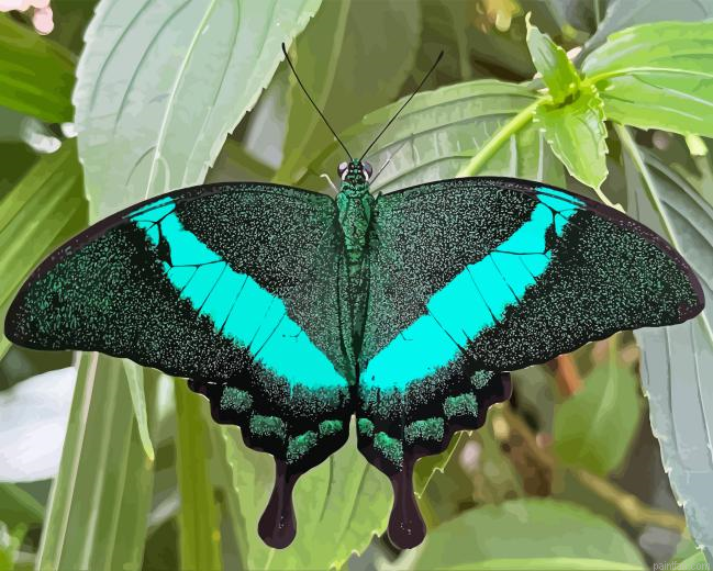 Teal Butterfly Paint By Numbers.png