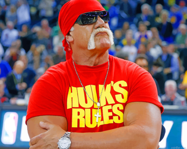 Terry Eugene Bollea Hulk Paint By Numbers.png