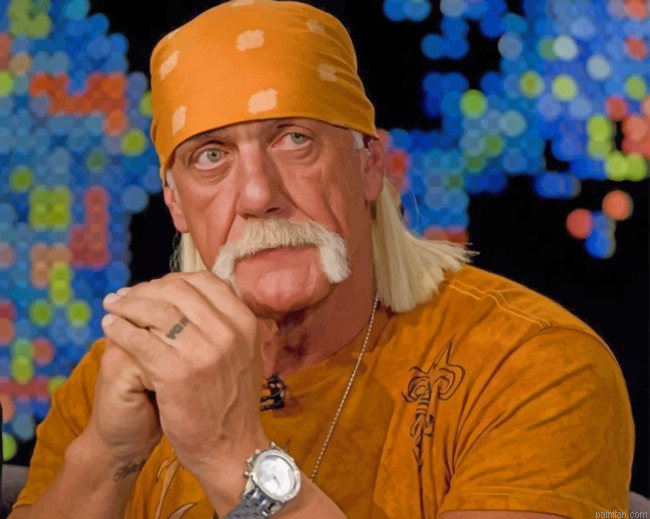 Terry Eugene Bollea Paint By Numbers.png