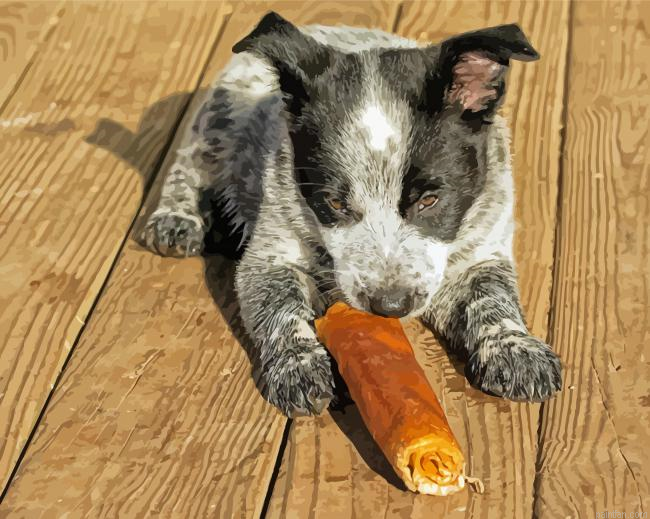 Texas Heeler Dog Paint By Numbers.png