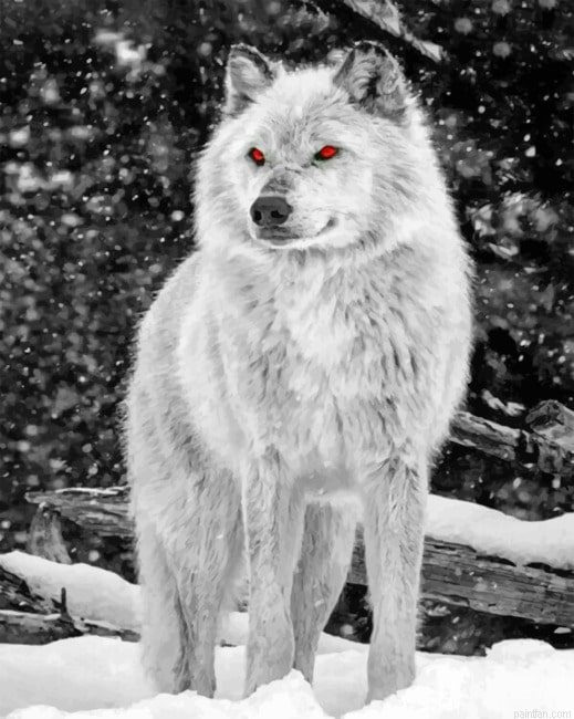 The Angelic Wolf New Paint By Numbers.png