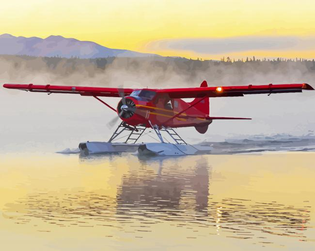 The De Havilland Canada Dhc2 Beaver Airplane Paint By Numbers.png