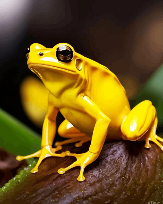 The Golden Poison Dart Frog Paint By Numbers.png