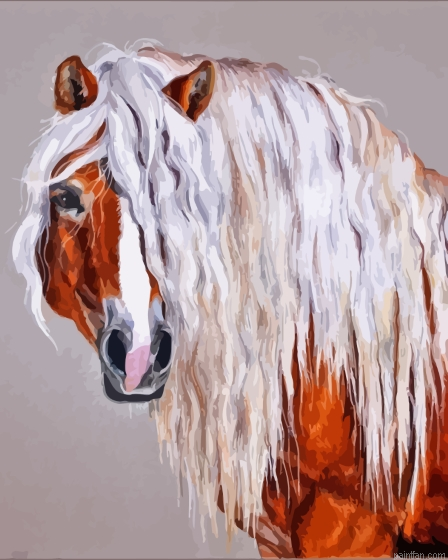 The Haflinger Paint By Numbers.png