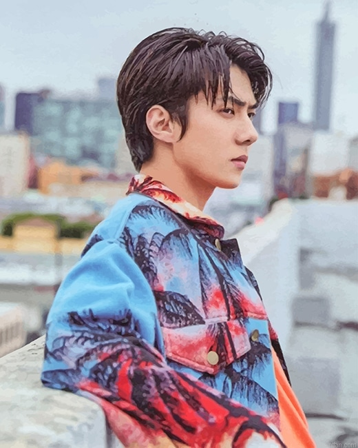 The Korean Idol Oh Sehun New Paint By Numbers.png