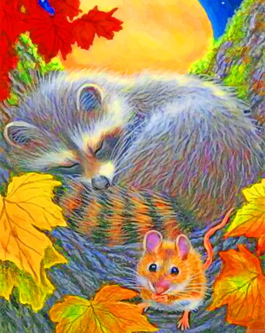 The Sleeping Raccoon Animals Paint By Numbers.png