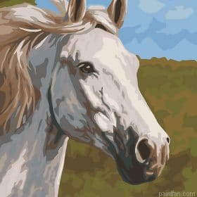 Thoroughbred Paint By Numbers.png
