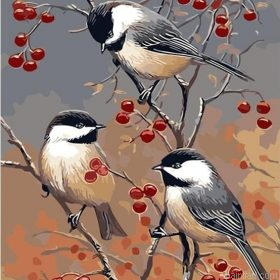 Three Birds Paint By Numbers.png