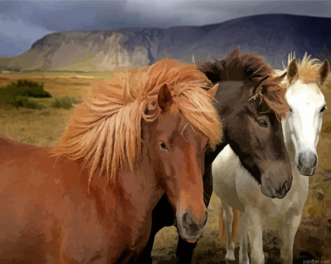Three Icelandic Horses Paint By Numbers.png