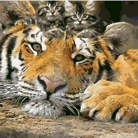Tiger Kittens Paint By Numbers.png