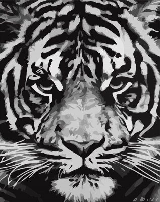Tiger Panthera Paint By Numbers.png