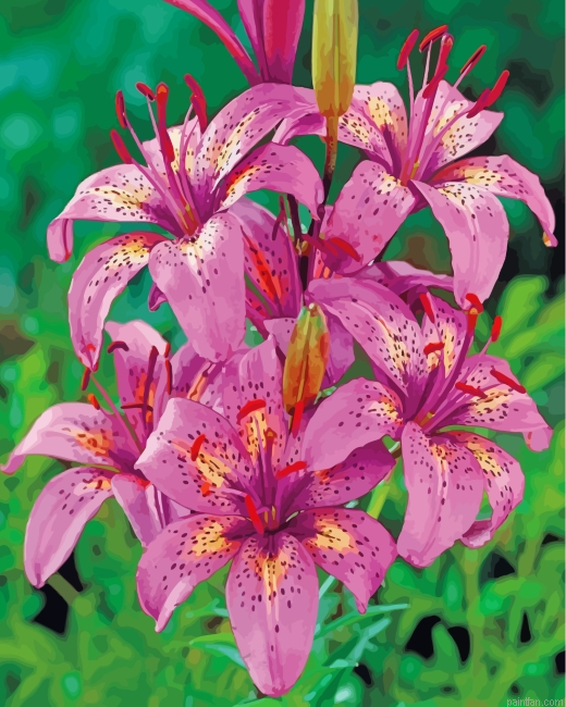 Tiger Pink Lilies Paint By Number.png