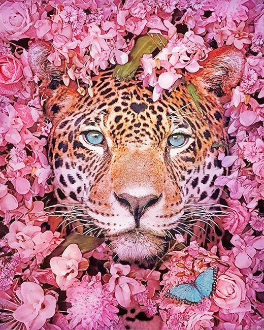 Tiger Purple Flowers New Paint By Numbers.png