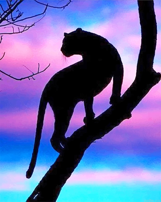 Tiger Silhouette New Paint By Numbers.png