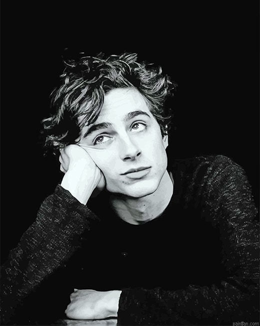 Timothee Black And White Portrait New Paint By Numbers.png