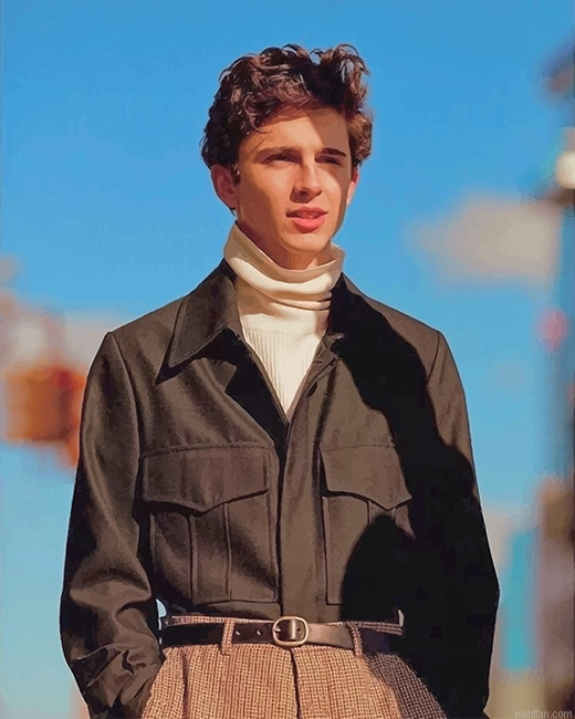 Timothee Chalamet New Paint By Numbers.png
