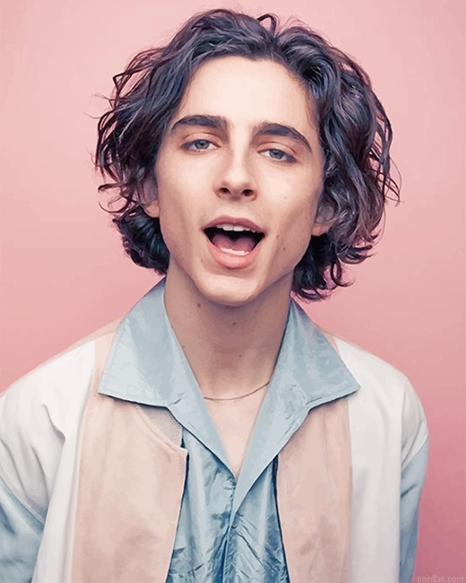 Timothee Chalamet Photoshoot New Paint By Numbers.png