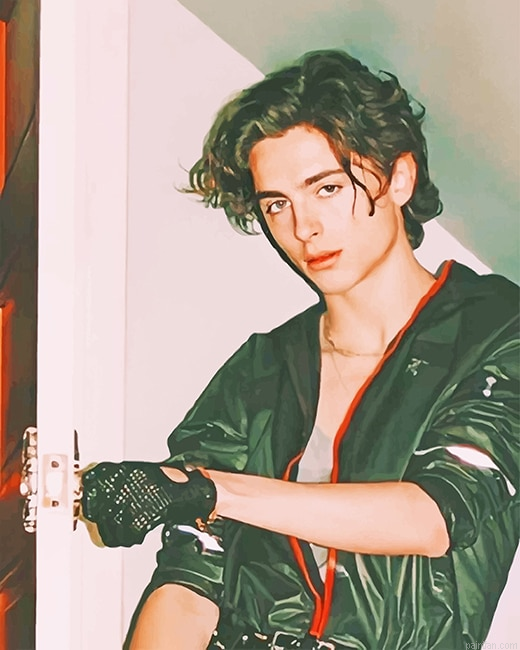 Timothee Chalamet Vintage New Paint By Numbers.png