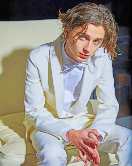 Timothee Chalamet Wearing A White Suit New Paint By Numbers.png