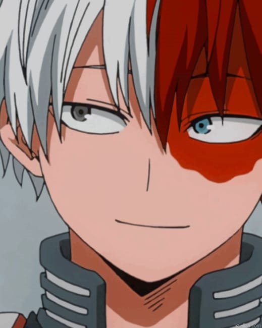 Todoroki New Paint By Numbers.png