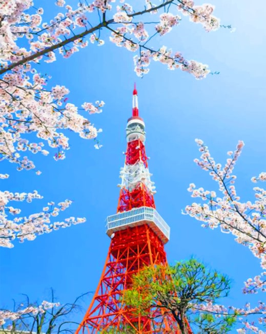 Tokyo Tower Cities Paint By Numbers.png