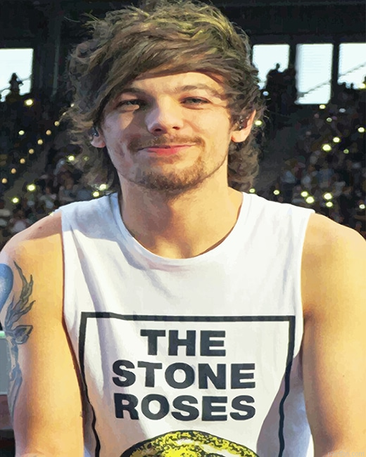 Tommo Tomlinson New Paint By Numbers.png