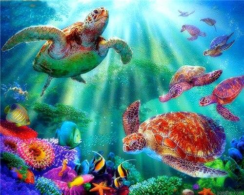 Tortoise Marine Paint By Numbers.png