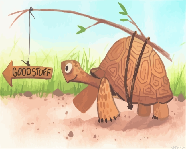 Tortoise Paint By Numbers.png