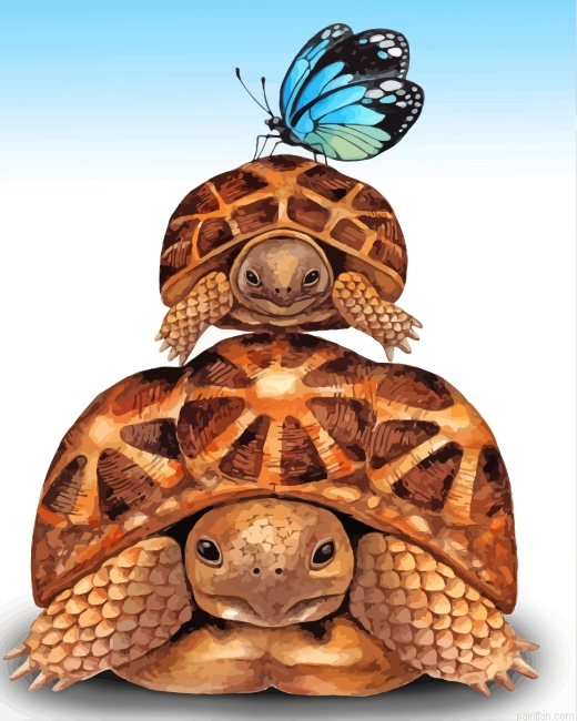 Tortoises And Butterfly Paint By Numbers.png