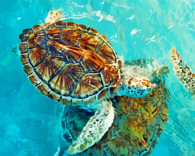 Tortugranja Cancun Paint By Numbers.png