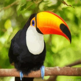 Toucan On A Branch Paint By Numbers.png