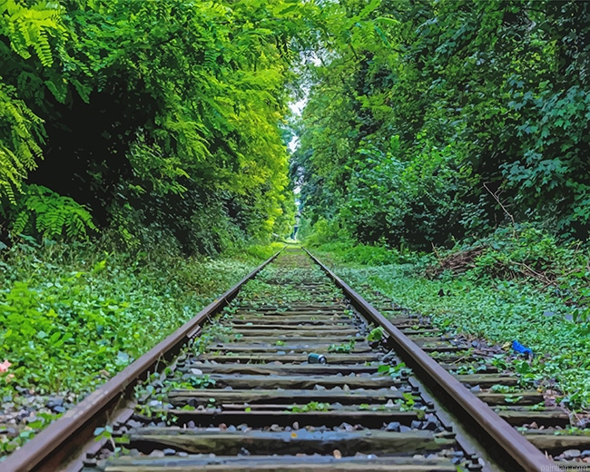 Train Rail New Paint By Numbers.png