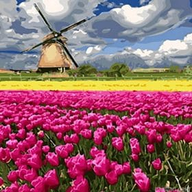 Travel To Tulips Paint By Numbers.png