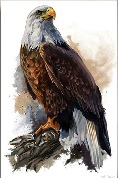Tree Eagle Paint By Numbers.png