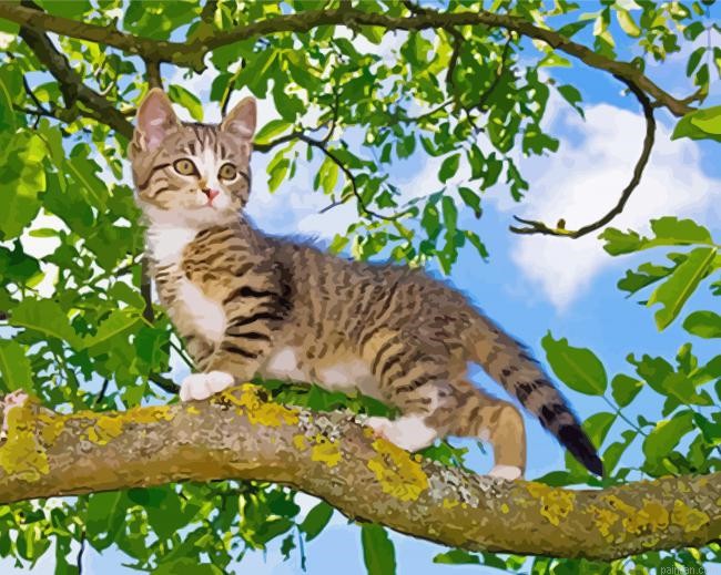 Tree Kitten Paint By Numbers.png