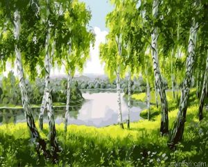 Tree Landscapes Paint By Numbers.png