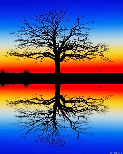 Tree Reflection In Water New Paint By Numbers.png