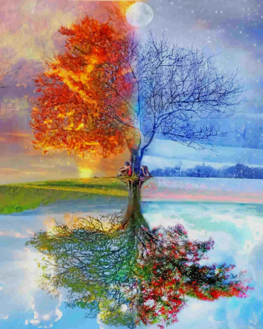 Tree Seasons Paint By Numbers.png