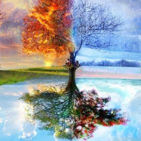 Tree Through Four Seasons Paint By Numbers.png