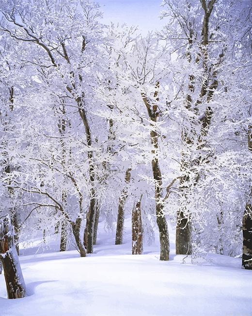Trees Covered With Snow New Paint By Numbers.png
