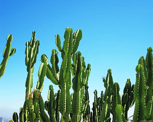 Triangle Cactus New Paint By Numbers.png