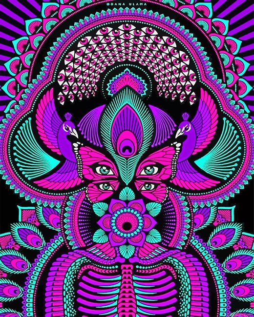 Trippy Mandalas New Paint By Numbers.png
